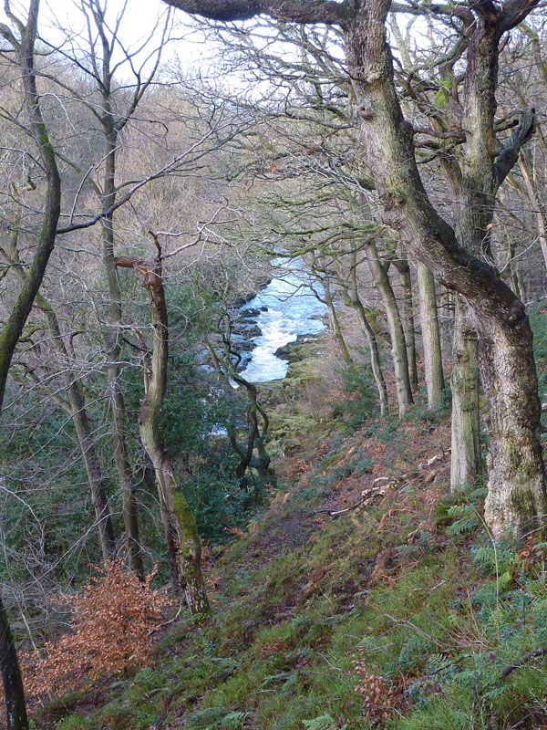 River Wharfe